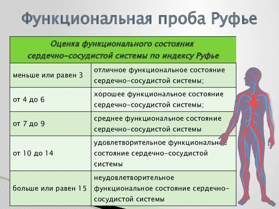 Уровень функционального состояния упражнения. Функциональная проба руфье. функциональные пробы сердечно-сосудистой системы. методы определения функционального состояния организма подходы. оценка функциональных проб.