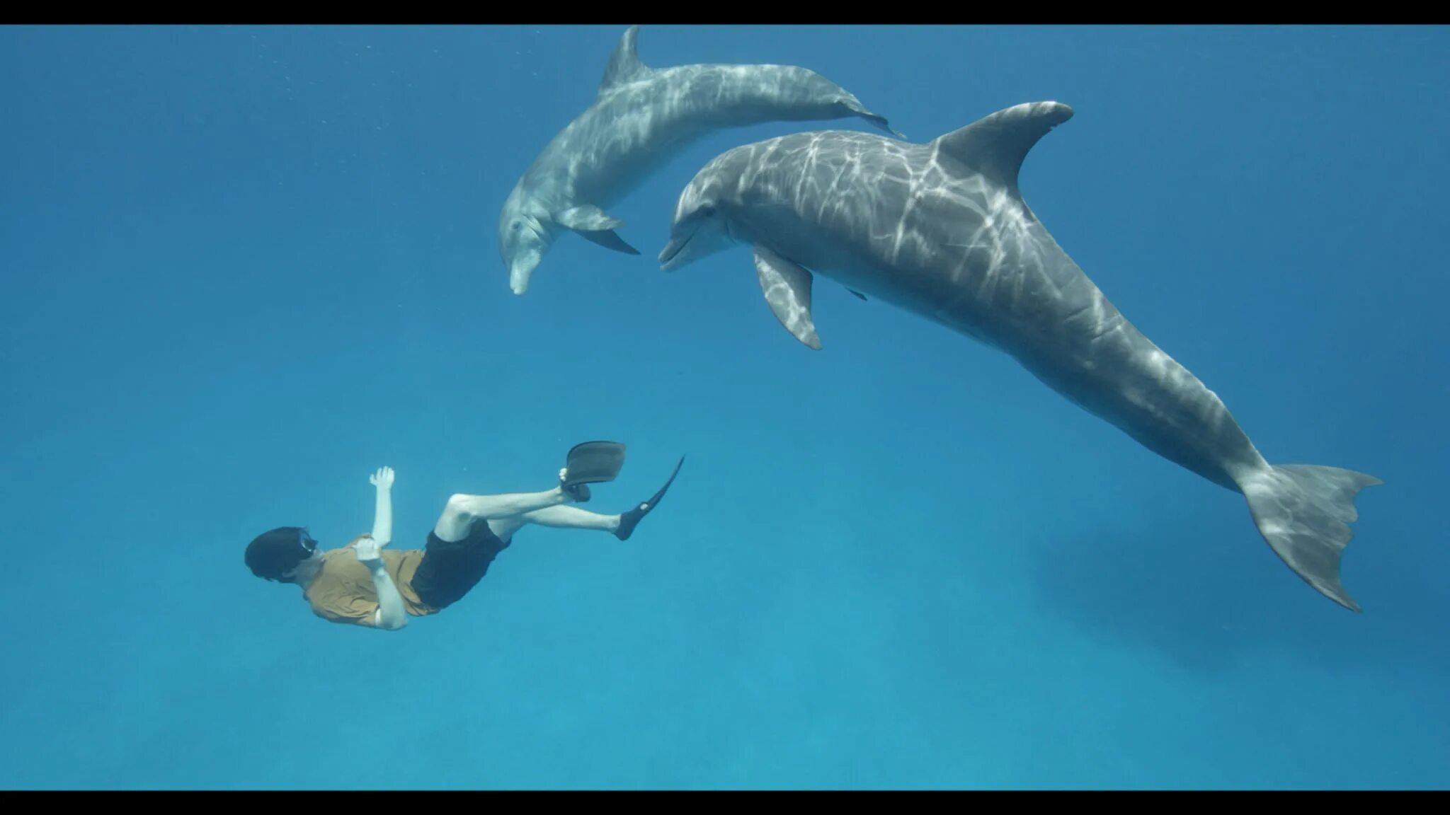 Lies of p обложка. Море шоу. Rose sea of hope обои. Корпус кракена sea of thieves. Море бихайнс.