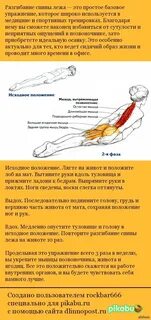 Мышцы спины какие упражнения