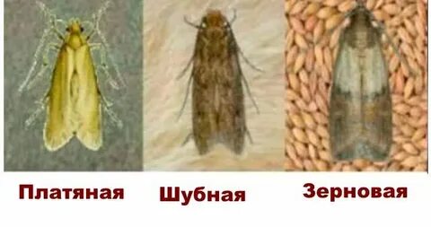 1 к моль это