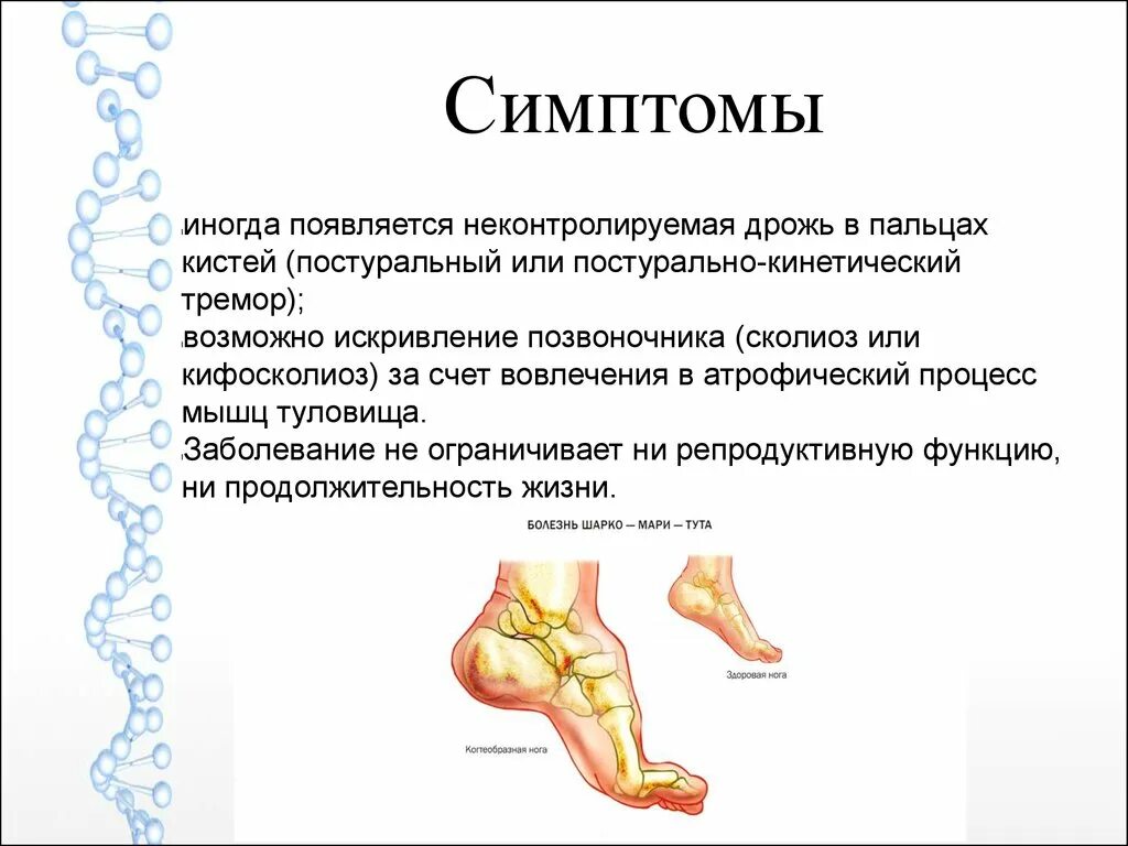 Наследственные моторно-сенсорные невропатии: болезнь Шарко-Мари-тута. Наследственная нейропатия Шарко Мари. Дифференциальный диагноз Шарко Мари тута. Болезнь Шарко Мари Тутто. Синдром шарко