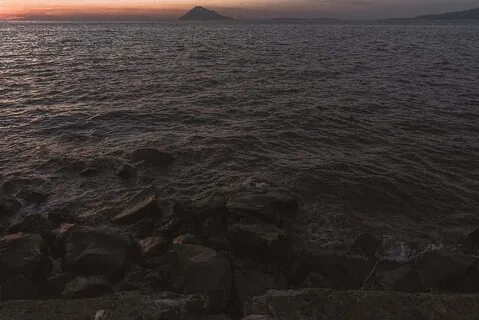Коричневое море