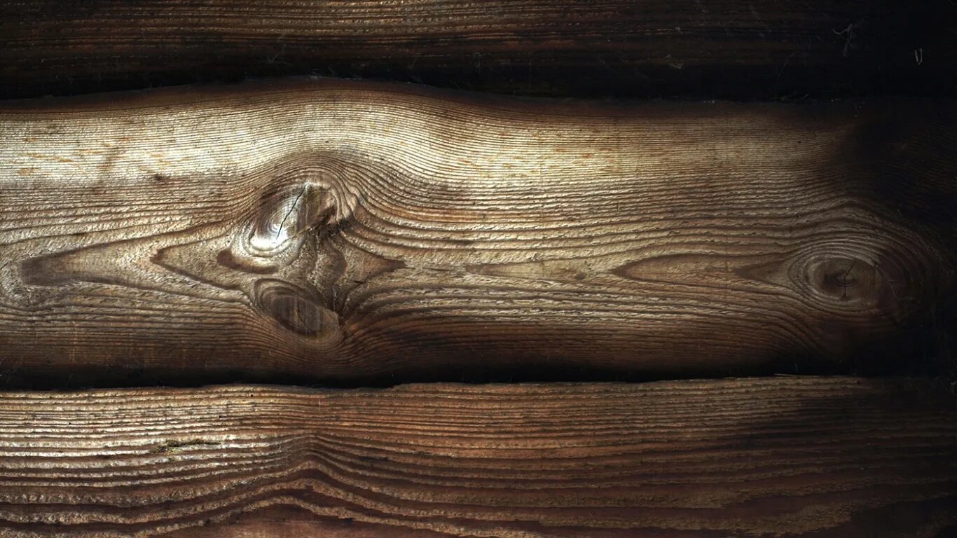 фактура дерева. дуб. пленка d-c-fix 0,90 дерево 200-5593 (sonoma eiche truffel). поляна с деревьями. под дуб дерево.