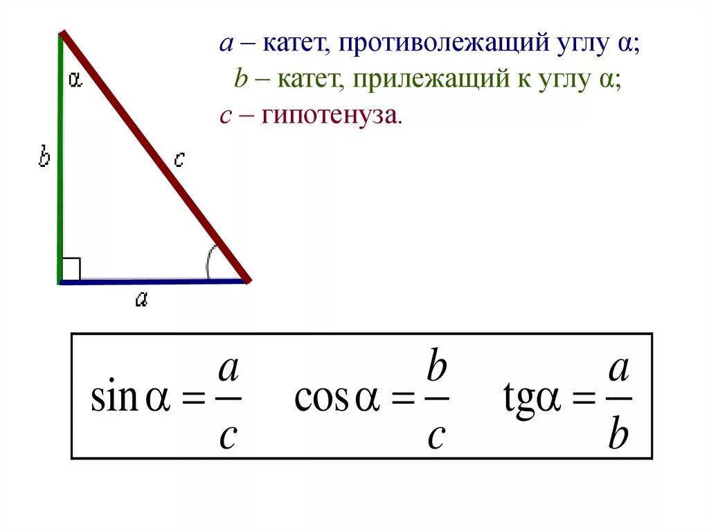 Соотношение между сторонами и углами прямоугольного треугольника. Соотношения в прямоугольном треугольнике. Соотношения в прямоугольном треугольнике 8 класс. Соотношение между сторонами прямоугольного треугольника. Тригонометрические функции в прямоугольном треугольнике 8 класс