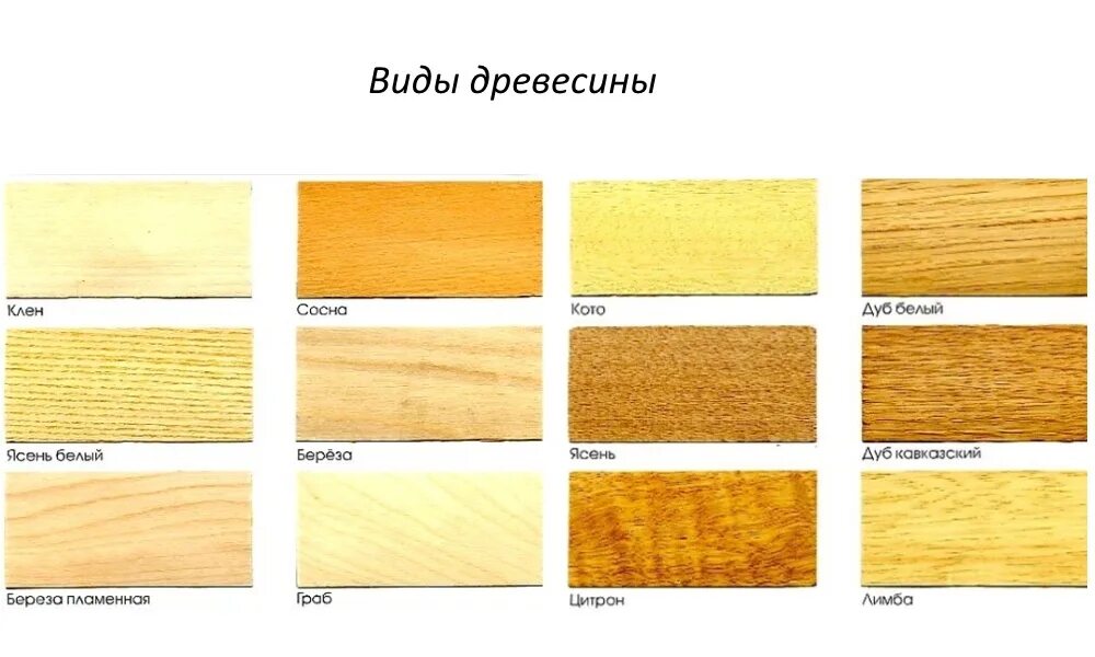 Породы деревьев для изготовления. Виды древесины. фактура разных пород дерева. цвета пород дерева. древесина разных пород деревьев.