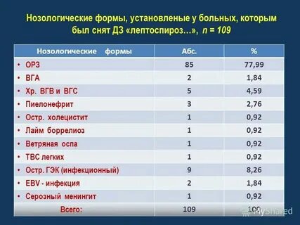 Основные нозологические единицы