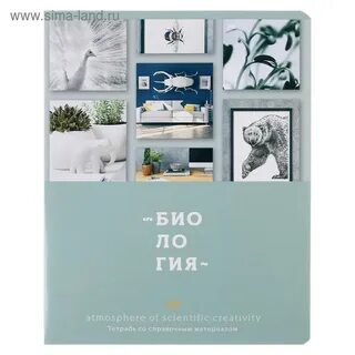 Атмосфера тетрадь