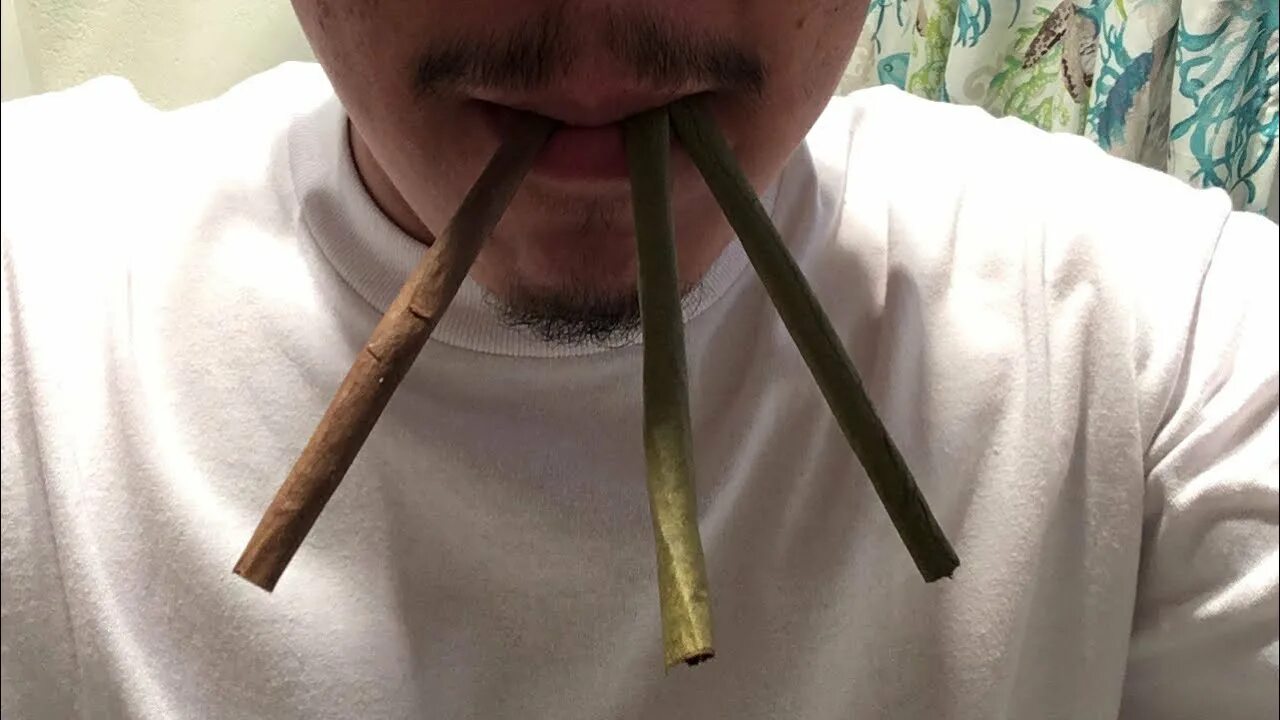 Smoke blunt