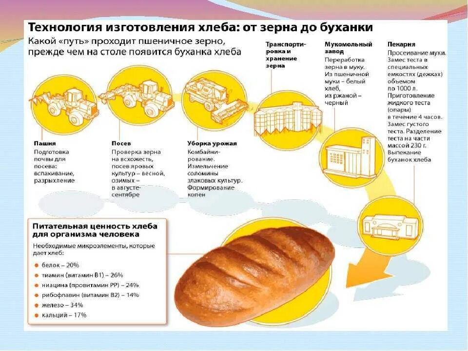 Сколько съедает хлеба человек в год. Алгоритм производства хлебобулочных изделий. Методы и средства изготовления хлеба. Метод производства хлеба технология. Схема этапов производства хлеба.