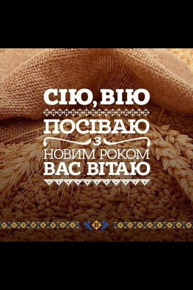 Сію вію посіваю з новим. Сію вію посіваю з новим роком. Сію вію посіваю з новим. Сію вію посіваю з новим. Сію сію посіваю з новим роком вас вітаю.