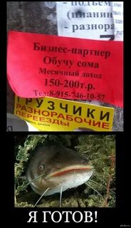 Сома или сама
