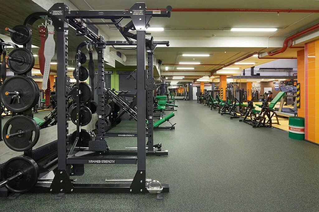 арена фитнес пермь. золотой тигр екатеринбург тренажерный зал бакинских комиссаров. луч тренажерный зал екатеринбург. золотой тигр екатеринбург. свердловский тренажерный зал.