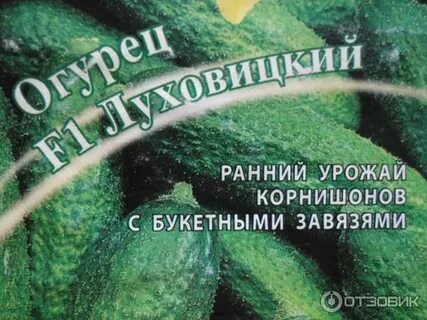 Огурец сорта луховицкий отзывы