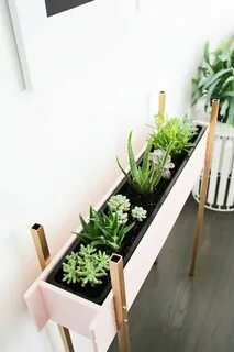 Skin plants