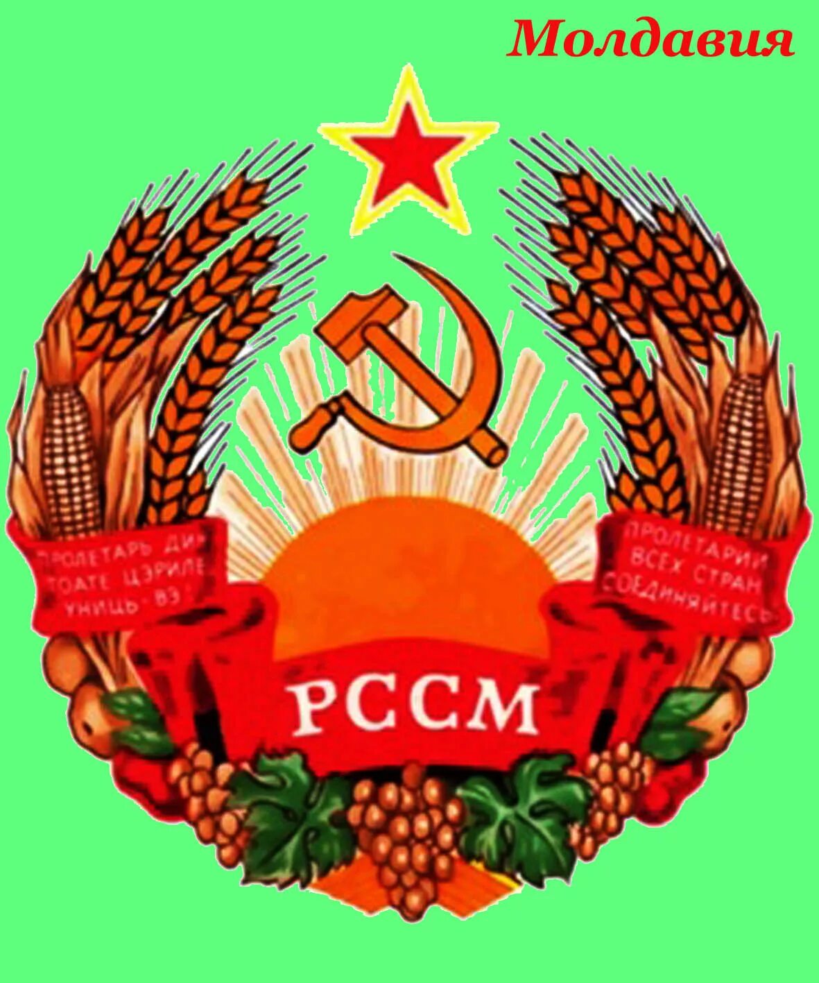 Мсср. Герб и флаг молдавской сср. молдавская советская социалистическая республика (мсср). герб молдавской сср сср. гербы социалистических республик.