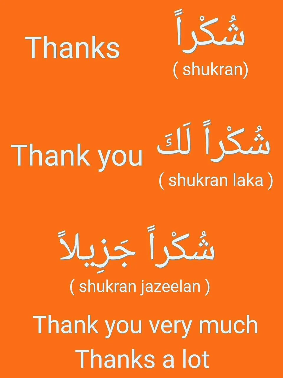 Как будет на арабском спасибо. Шукран джазилян. Благодарность на арабском языке. Спасибо по арабски. Благодарю на арабском.