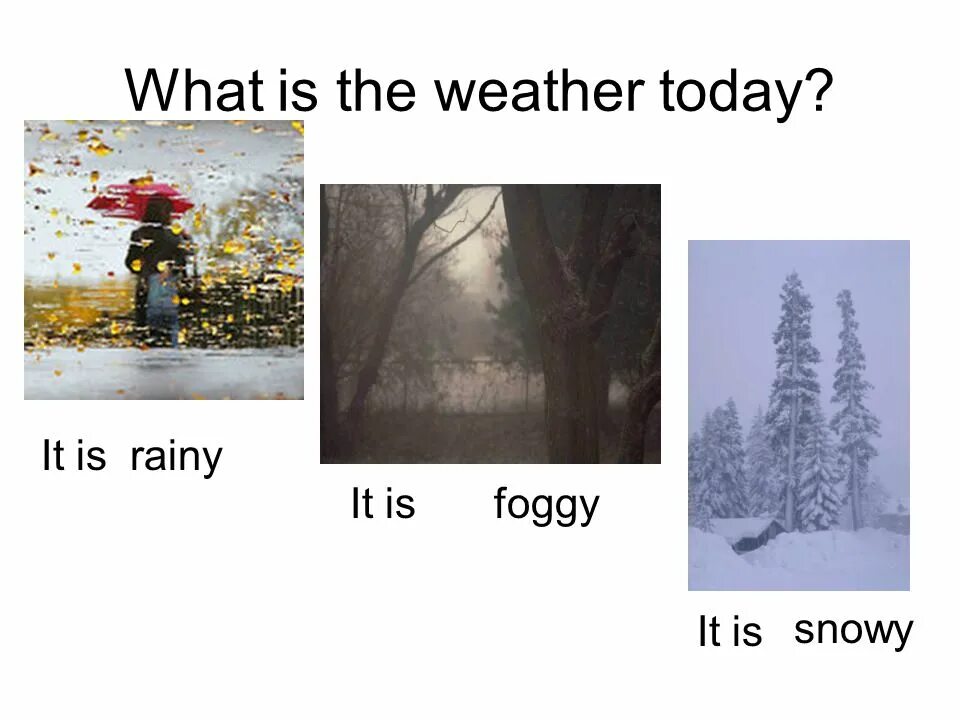 What is the weather today. It is Foggy. It is snowy. If the weather is Rainy.