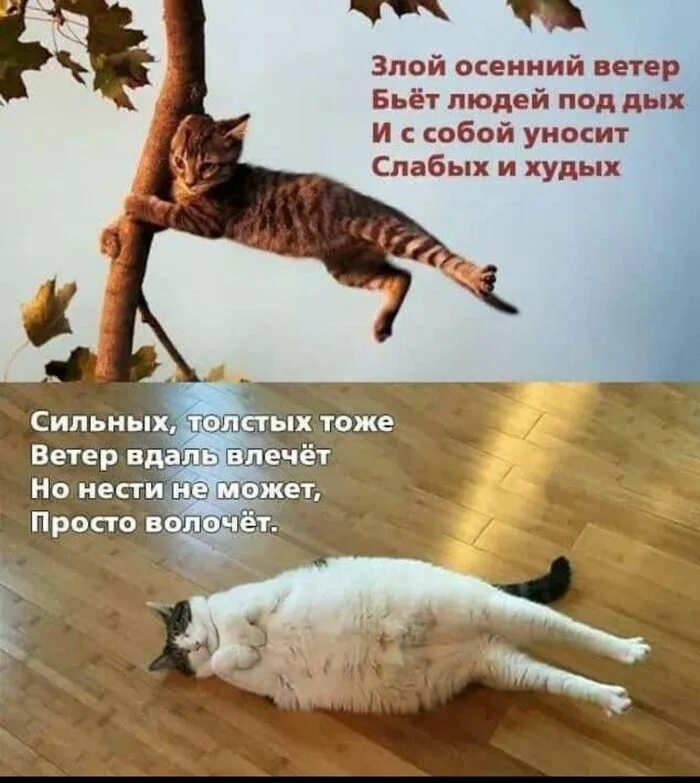Которые не несут с собой