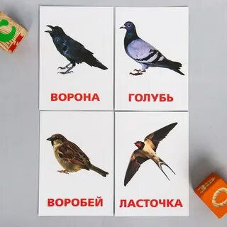 Ворона воробей группа