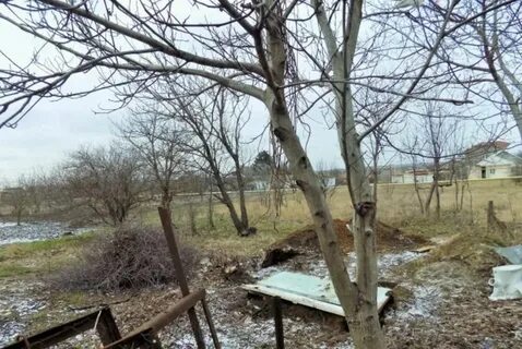 Нижняя гостагайка анапский