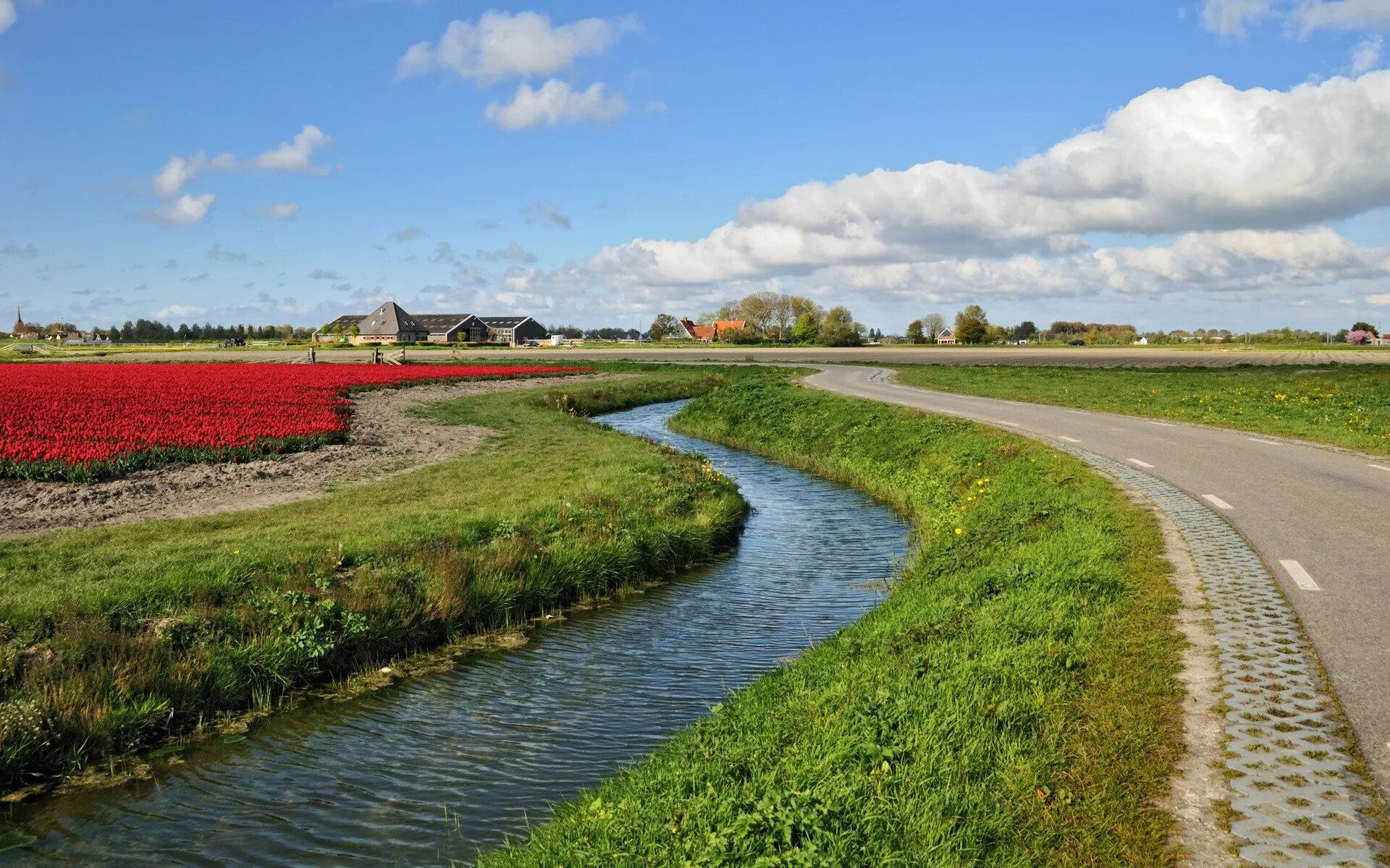 Цветы вдоль канала. Теневой сад в ландшафтном. Спирея березолистная живая изгородь. Россия проселочная дорога. Тропинка к озеру.