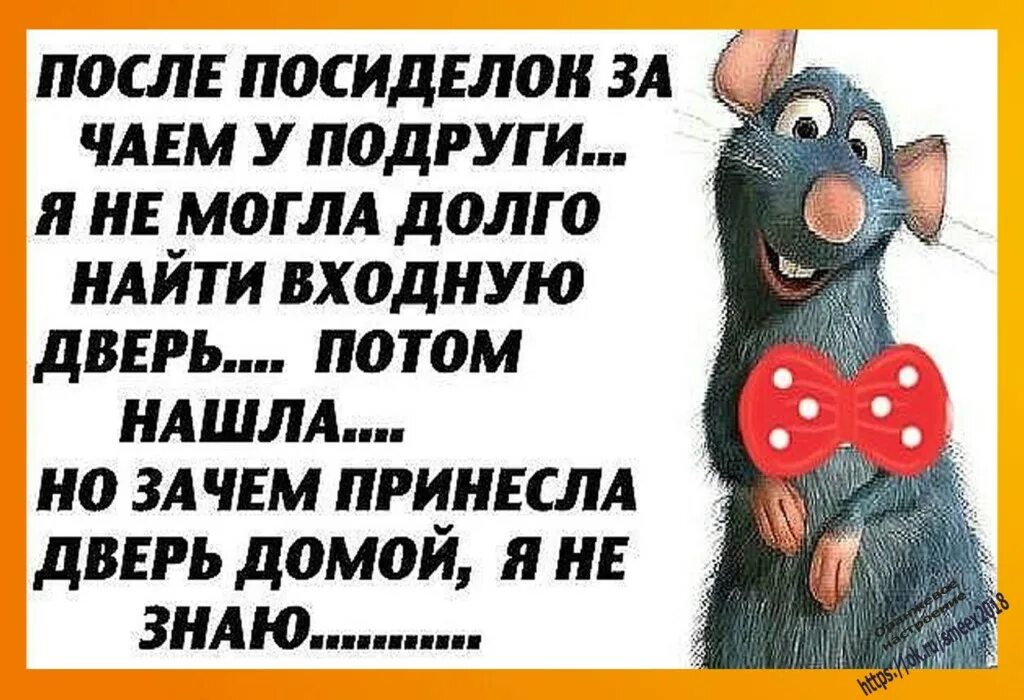 Смешные статусы. Прикольные статусы для ватсапа в картинках. смешные статусы для ватсапа. картинки на статус в ватсап прикольные. смешные статусы для ватсапа в картинках приколы.