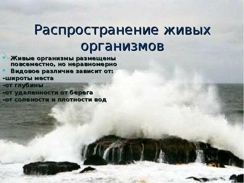 Распространение организмов в океане зависит от. Распространение живых организмов. распределение живых организмов. распространение живых организмов в океане. распространение живых организмов в мировом океане зависит от.