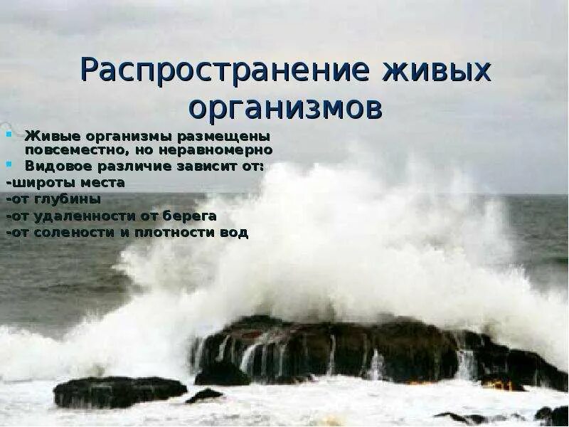 Презентация география 6 класс жизнь в океане. Распространение живых организмов. Распространение живых организмов в океане. Распространение живых организмов в зависимости от глубины. Распространение живых организмов в океане 6 класс.