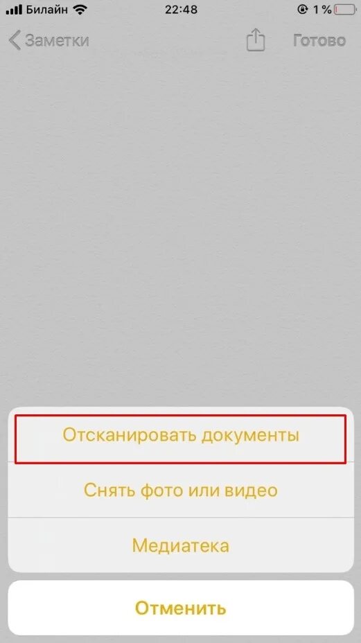 Как отсканировать в заметках. Сканер в заметках айфона. как сделать скан документа на айфоне. сканирование документов в заметках. как сканировать длкупент на айфо.