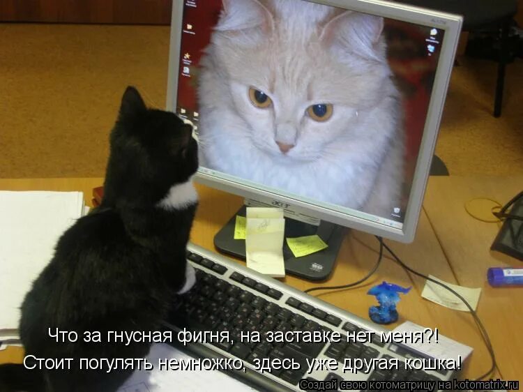 Баю баюшки баю не пишите мне фигню придет. Приколы про фигню. Всякая фигня. Не пишите мне фигню. Включи мне фигню.