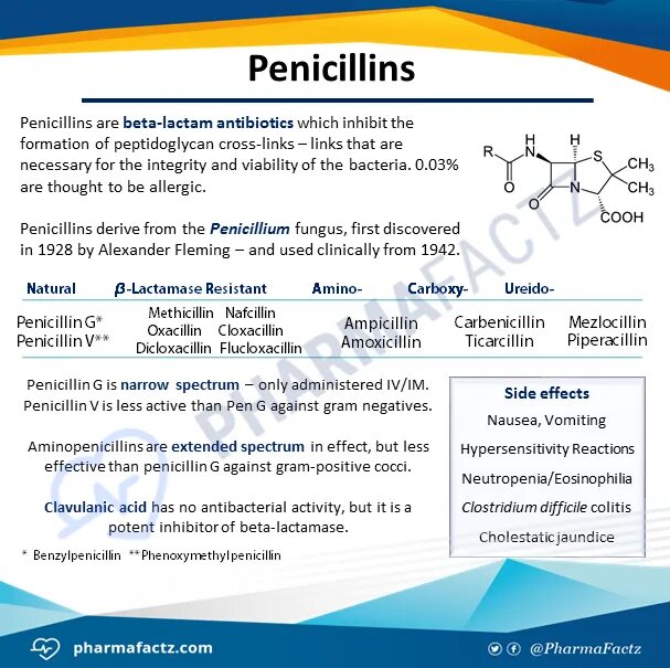 Penicillin classification. Side Effects of antibiotics. Penicillin was английский язык. Spectrum of Action of penicillins. Пенициллин тест