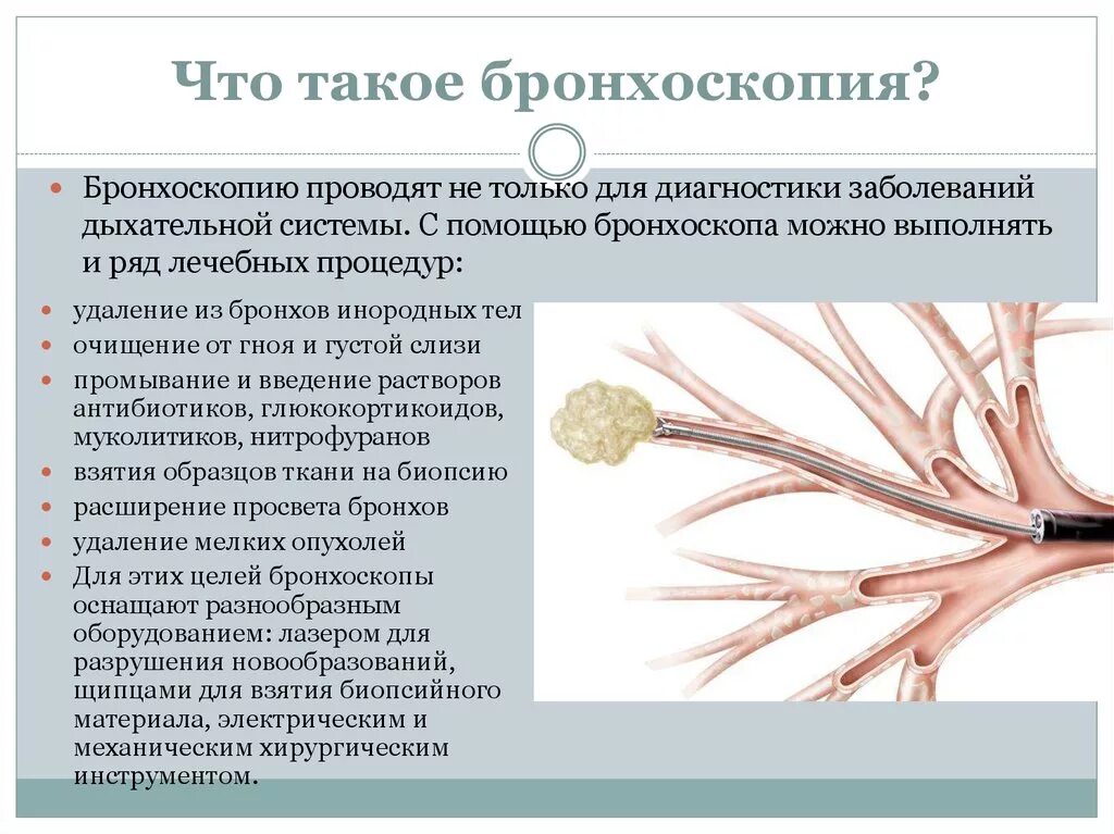 Бронхоскопия мокроты. Бронхоскопия методика проведения. Цель проведения бронхоскопии. Подготовка пациента к бронхоскопии алгоритм. Бронхоскопия алгоритм.