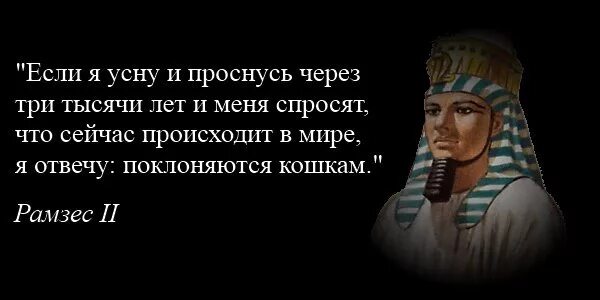 Проснется через 1 1. Цитаты про Египет. Фразы древнего Египта. Цитаты про древний Египет. Высказывания о Египте.