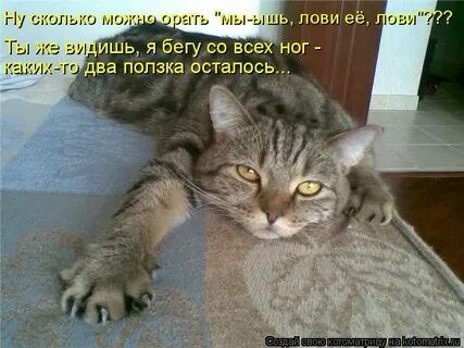 Нет что то не вижу