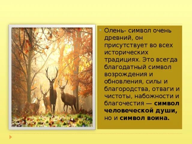 Что обозначает олень. Олень символизирует. Олень символ. Символическое значение образа оленя в мифах. Литературное символическое значение образа оленя.