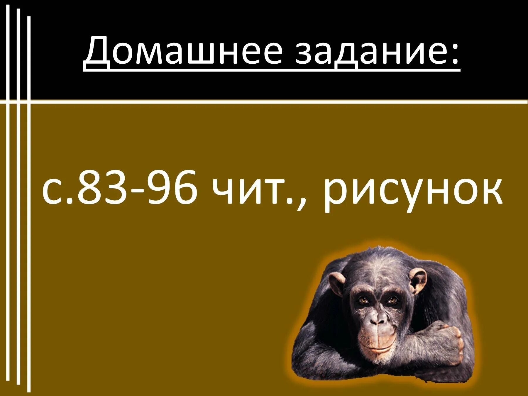 Краткий пересказ обезьяна. Б. С. Житкова "про обезьянку" план. Житков про обезьянку. План про обезьянку 3 класс. План Житкова про обезьянку.