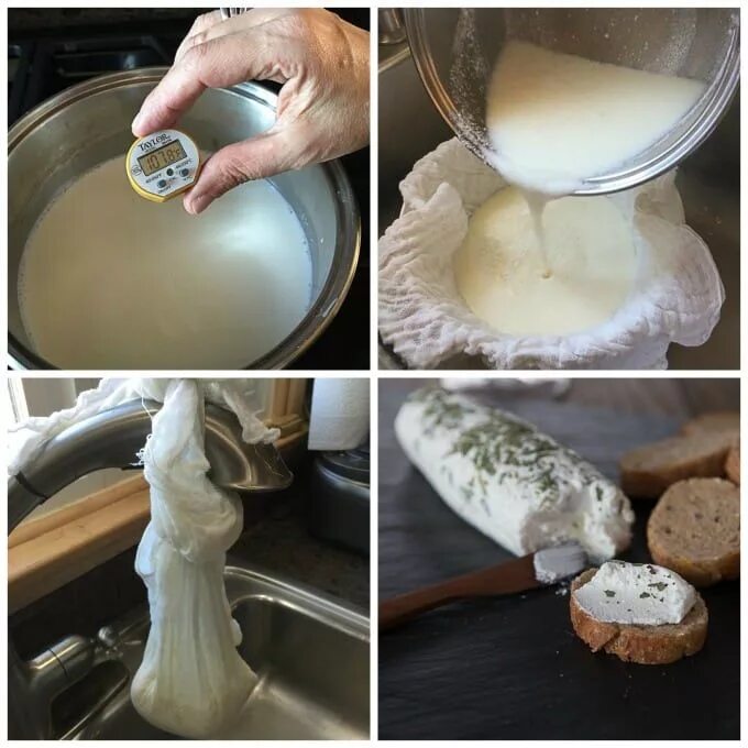 Рецепт сыра из козьего молока. Сыры из козьего молока в домашних. приготовление козьего сыра. сыр из козьего молока в домашних. приготовление домашнего козьего сыра.