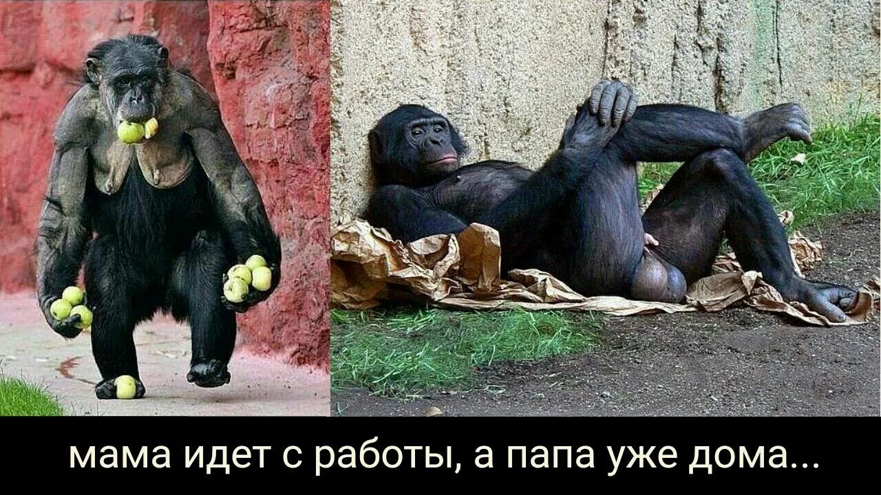 Ты че за монстра мне родила. Монстр под кроватью мем. Малыш и карлсон ты чо пес. Мем че ты ржешь. Ты че за монстра мне родила.