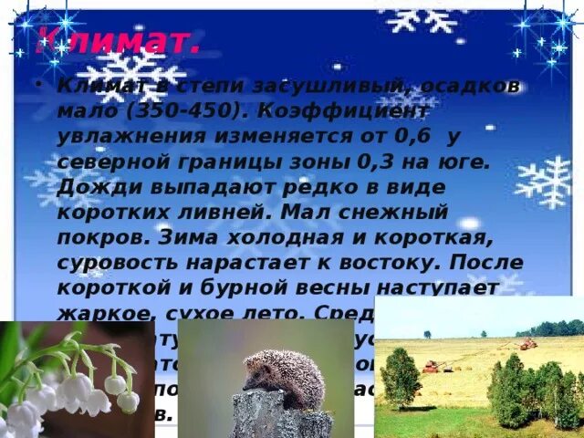 Степь осадки. Осадки в степи. режим выпадения осадков в степи. климат степи. кол во осадков в степи.