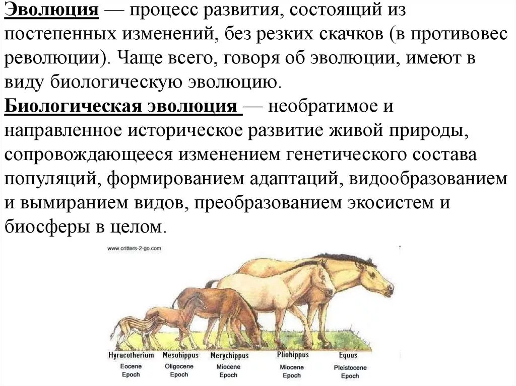 Процесс эволюции. Эволюционные изменения животных. Процесс эволюции биология. Эволюция развития животных. Крупное эволюционное изменение