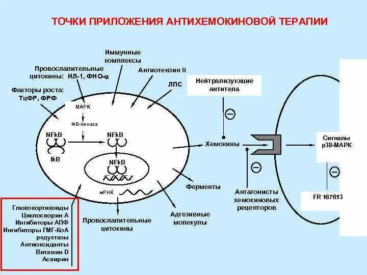 Пример точки приложения