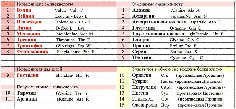 Незаменимые аминокислоты микроэлементы и. Заменимые и незаменимые аминокислоты таблица. перечень незаменимых аминокислот. 8 незаменимых аминокислот таблица. 20 аминокислот заменимые и незаменимые.