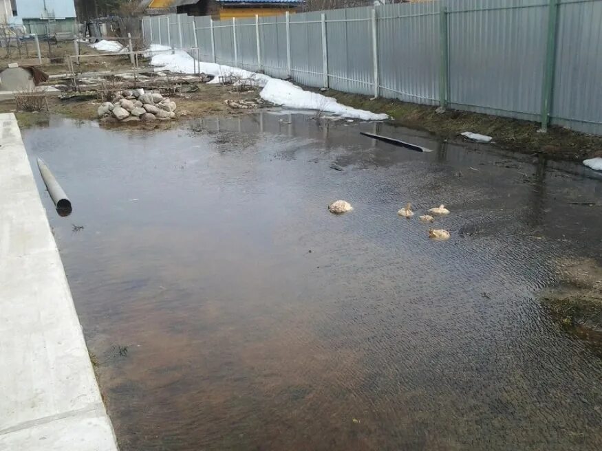 Вода стоит во дворе. Вода на участке. лужи на участке. водоотвод на даче. дренаж подтопленного участка.