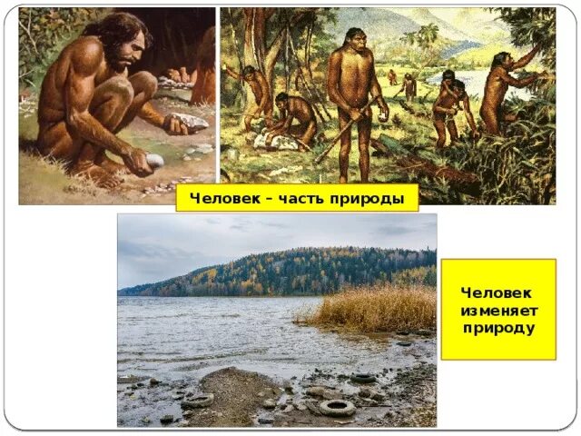 5 человек изменяет природу. Как человек изменял природу. Как человек изменил природу доклад. Человек изменяет природу. Доклад на тему как человек изменил землю.