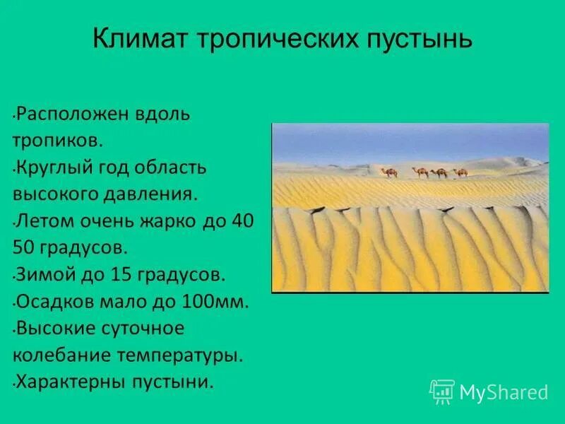 Условия тропических пустынь