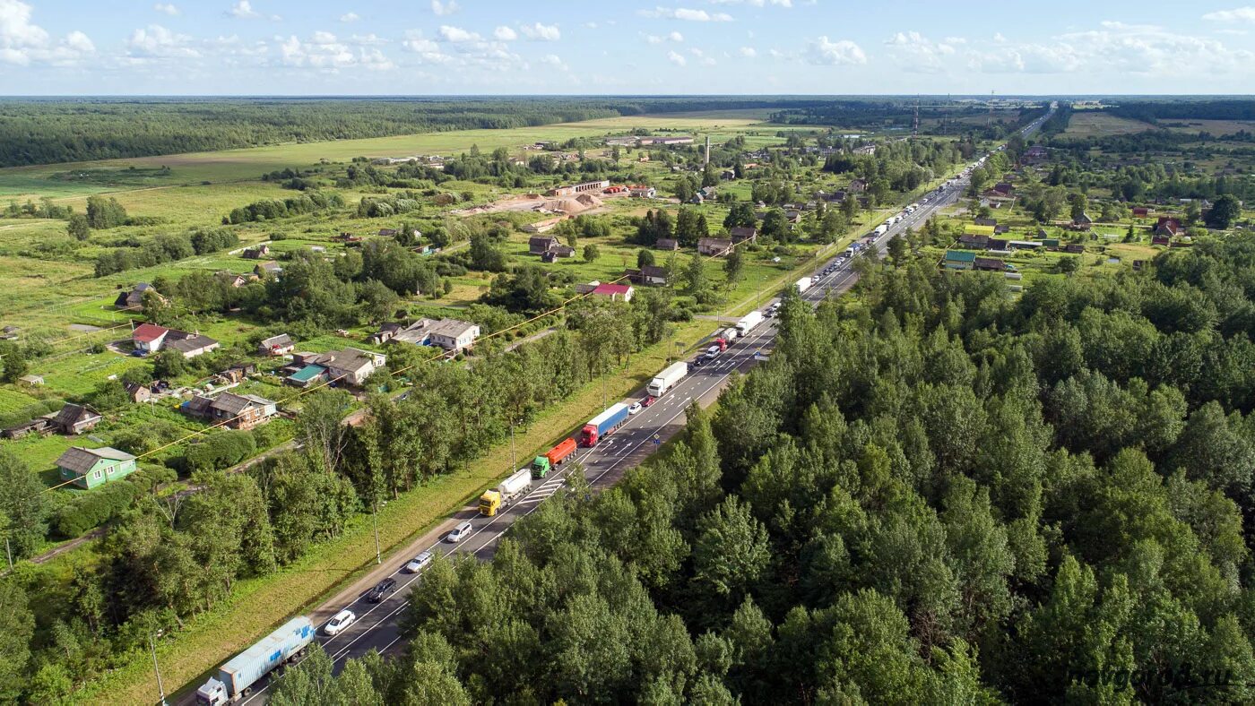 Деревня Трегубово Новгородской области. Дер Трегубово Чудовский район. Деревня Трегубово Новгородская область Чудовский район. Деревня Трегубово Озерский район