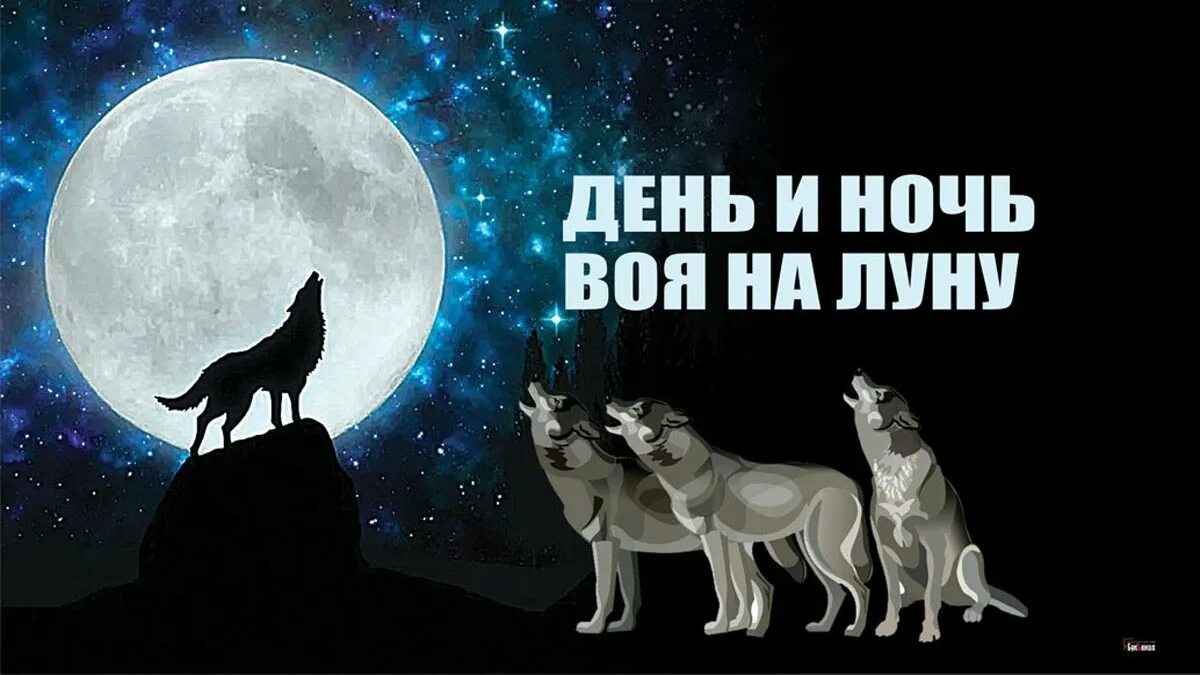 Ночь воя на луну картинки