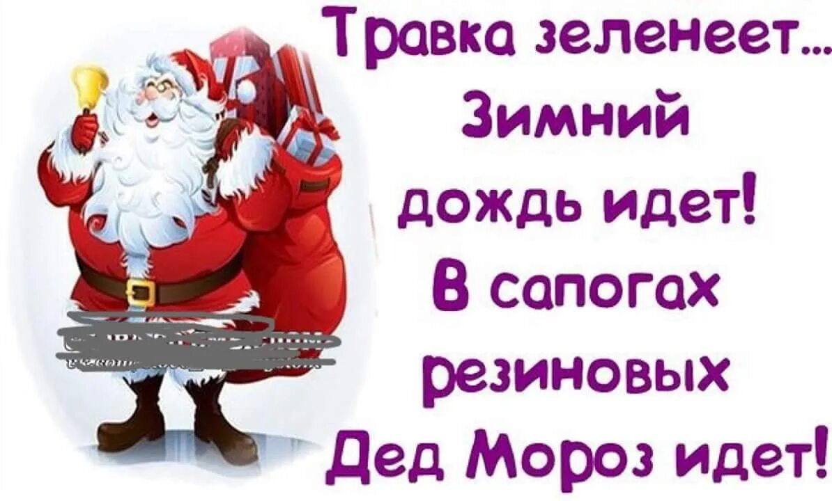 Пошел он старый новый. Прикольные фразы для поднятия настроения новогодние. смешные фразы про новогоднее настроение. цитаты про новый год. зимние статусы.