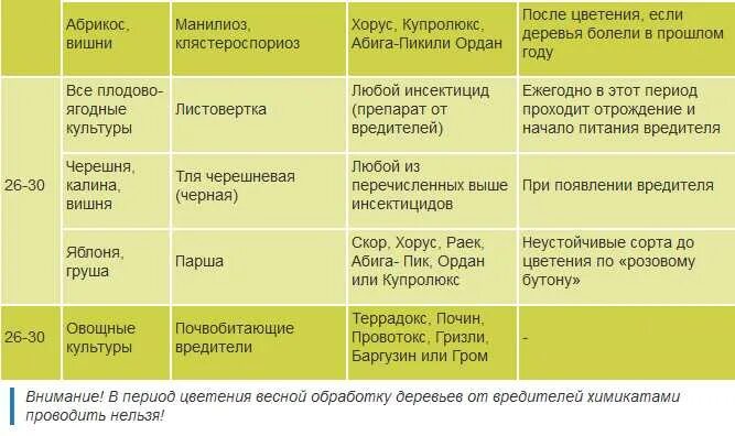 Смеси против вредителей и болезней. Адская смесь против болезней и вредителей. Таблица борьбы с вредителями в саду. Бакова смесь против вредителей. Адская смесь против болезней