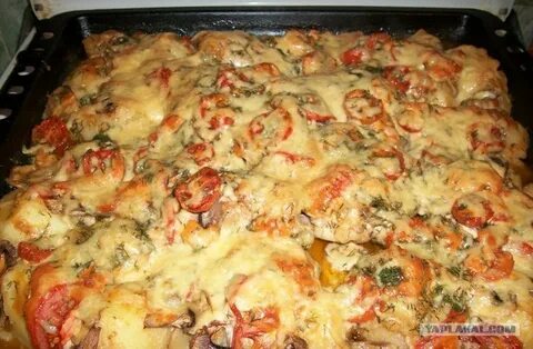 Мясо грибы в духовке на протвине